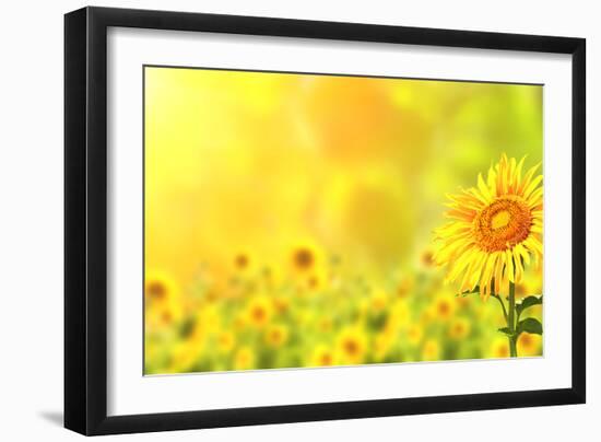 Bright Yellow Sunflowers and Sun-frenta-Framed Premium Photographic Print