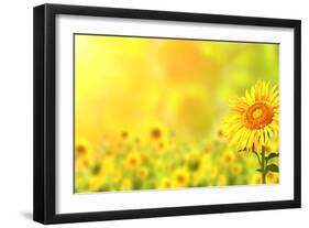 Bright Yellow Sunflowers and Sun-frenta-Framed Premium Photographic Print