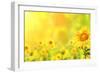 Bright Yellow Sunflowers and Sun-frenta-Framed Premium Photographic Print