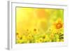 Bright Yellow Sunflowers and Sun-frenta-Framed Photographic Print