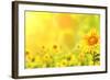 Bright Yellow Sunflowers and Sun-frenta-Framed Photographic Print