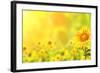 Bright Yellow Sunflowers and Sun-frenta-Framed Photographic Print