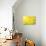 Bright Yellow Sunflowers and Sun-frenta-Photographic Print displayed on a wall