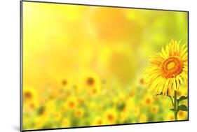 Bright Yellow Sunflowers and Sun-frenta-Mounted Photographic Print