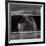 Brightbug-Fabio Panichi-Framed Photographic Print