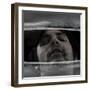 Brightbug-Fabio Panichi-Framed Photographic Print