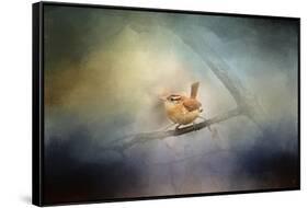 Brighten My World Wren-Jai Johnson-Framed Stretched Canvas