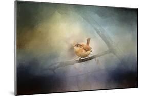 Brighten My World Wren-Jai Johnson-Mounted Giclee Print