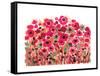 Brightly Blooming-Natasha Wescoat-Framed Stretched Canvas