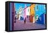 Brightly Colored Houses in Burano, Italy-Steven Boone-Framed Stretched Canvas