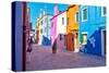 Brightly Colored Houses in Burano, Italy-Steven Boone-Stretched Canvas