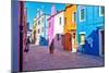 Brightly Colored Houses in Burano, Italy-Steven Boone-Mounted Photographic Print