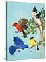 Brightly Coloured Birds-R. B. Davis-Stretched Canvas