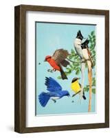 Brightly Coloured Birds-R. B. Davis-Framed Giclee Print