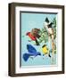 Brightly Coloured Birds-R. B. Davis-Framed Giclee Print