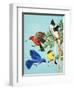 Brightly Coloured Birds-R. B. Davis-Framed Giclee Print