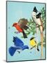 Brightly Coloured Birds-R. B. Davis-Mounted Giclee Print
