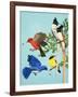 Brightly Coloured Birds-R. B. Davis-Framed Giclee Print