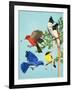 Brightly Coloured Birds-R. B. Davis-Framed Giclee Print