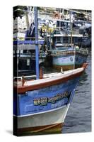 Brightly Coloured Fishing Boat at Negombo Lagoon, Negombo, Sri Lanka, Asia-John Woodworth-Stretched Canvas