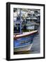 Brightly Coloured Fishing Boat at Negombo Lagoon, Negombo, Sri Lanka, Asia-John Woodworth-Framed Photographic Print