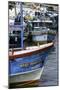 Brightly Coloured Fishing Boat at Negombo Lagoon, Negombo, Sri Lanka, Asia-John Woodworth-Mounted Photographic Print