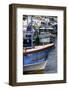 Brightly Coloured Fishing Boat at Negombo Lagoon, Negombo, Sri Lanka, Asia-John Woodworth-Framed Photographic Print