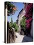 Brightly Coloured Flowers in Village Street, Grimaud, Var, Cote d'Azur, Provence, France, Europe-Ruth Tomlinson-Stretched Canvas