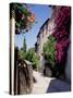 Brightly Coloured Flowers in Village Street, Grimaud, Var, Cote d'Azur, Provence, France, Europe-Ruth Tomlinson-Stretched Canvas