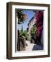 Brightly Coloured Flowers in Village Street, Grimaud, Var, Cote d'Azur, Provence, France, Europe-Ruth Tomlinson-Framed Premium Photographic Print