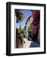 Brightly Coloured Flowers in Village Street, Grimaud, Var, Cote d'Azur, Provence, France, Europe-Ruth Tomlinson-Framed Premium Photographic Print