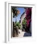 Brightly Coloured Flowers in Village Street, Grimaud, Var, Cote d'Azur, Provence, France, Europe-Ruth Tomlinson-Framed Premium Photographic Print