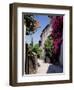 Brightly Coloured Flowers in Village Street, Grimaud, Var, Cote d'Azur, Provence, France, Europe-Ruth Tomlinson-Framed Photographic Print