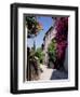 Brightly Coloured Flowers in Village Street, Grimaud, Var, Cote d'Azur, Provence, France, Europe-Ruth Tomlinson-Framed Photographic Print