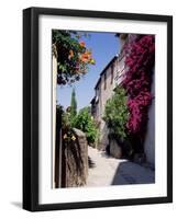 Brightly Coloured Flowers in Village Street, Grimaud, Var, Cote d'Azur, Provence, France, Europe-Ruth Tomlinson-Framed Photographic Print