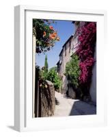 Brightly Coloured Flowers in Village Street, Grimaud, Var, Cote d'Azur, Provence, France, Europe-Ruth Tomlinson-Framed Photographic Print