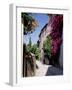 Brightly Coloured Flowers in Village Street, Grimaud, Var, Cote d'Azur, Provence, France, Europe-Ruth Tomlinson-Framed Photographic Print