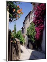 Brightly Coloured Flowers in Village Street, Grimaud, Var, Cote d'Azur, Provence, France, Europe-Ruth Tomlinson-Mounted Photographic Print