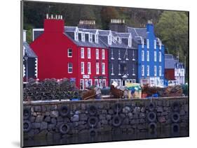 Brightly Coloured Houses at the Fishing Port of Tobermory, Isle of Mull, Inner Hebrides, Scotland-Patrick Dieudonne-Mounted Photographic Print