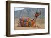 Brightly decorated camel, Pushkar, Rajasthan, India.-Inger Hogstrom-Framed Photographic Print