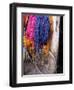 Brightly Dyed Wool Hanging Over Bicycle, Marrakech, Morrocco, North Africa, Africa-John Miller-Framed Premium Photographic Print