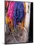 Brightly Dyed Wool Hanging Over Bicycle, Marrakech, Morrocco, North Africa, Africa-John Miller-Mounted Premium Photographic Print