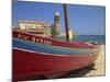 Brightly Painted Fishing Boat, Collioure, Cote Vermeille, Languedoc Roussillon, France, Europe-Michael Busselle-Mounted Photographic Print