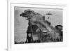 Brighton Aquarium and Palace Pier, Brighton, East Sussex, Early 20th Century-null-Framed Giclee Print