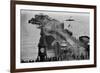 Brighton Aquarium and Palace Pier, Brighton, East Sussex, Early 20th Century-null-Framed Giclee Print