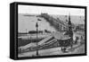 Brighton Aquarium, Brighton, East Sussex, C1900s-C1920S-null-Framed Stretched Canvas