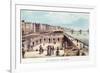 Brighton, Aquarium-null-Framed Art Print