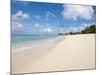 Brighton Beach Barbados, Caribbean-Michael DeFreitas-Mounted Photographic Print