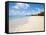 Brighton Beach, Barbados, Windward Islands, West Indies, Caribbean, Central America-Michael DeFreitas-Framed Stretched Canvas