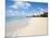 Brighton Beach, Barbados, Windward Islands, West Indies, Caribbean, Central America-Michael DeFreitas-Mounted Photographic Print